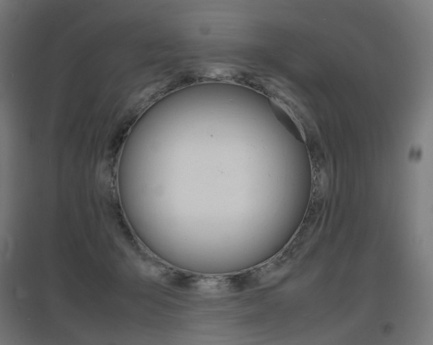 X0000097620415200802290824