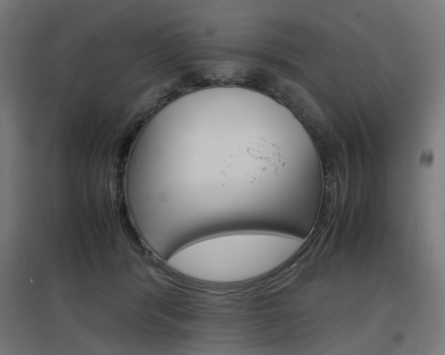 X0000097620416200802290824