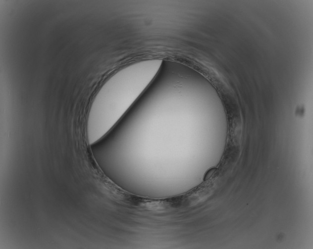 X0000097620417200802290824