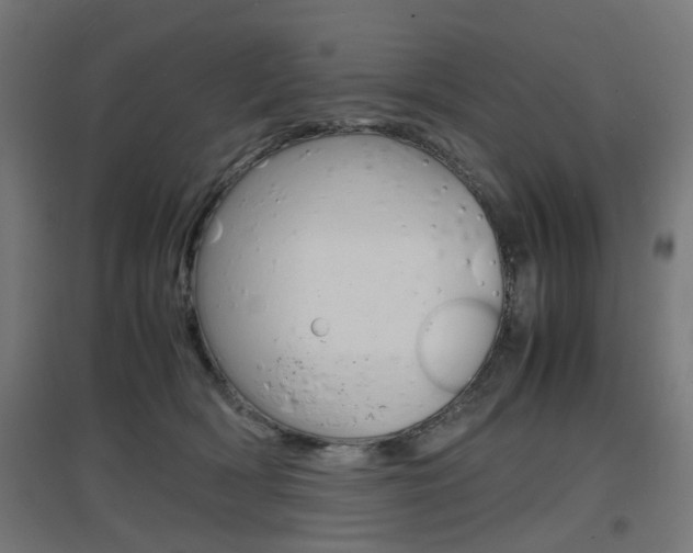 X0000097620418200802290824