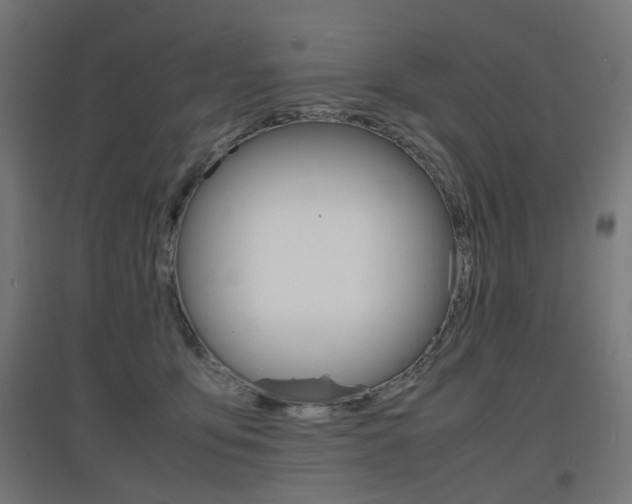 X0000097620419200802290824