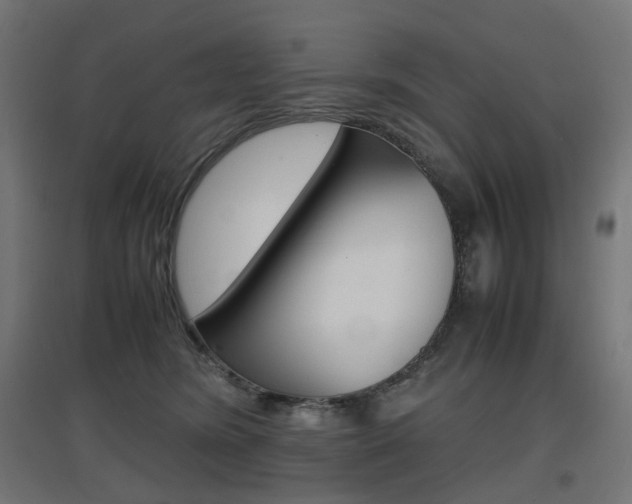 X0000097620420200802290824