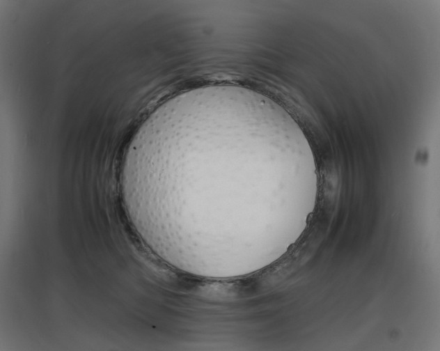 X0000097620422200802290824