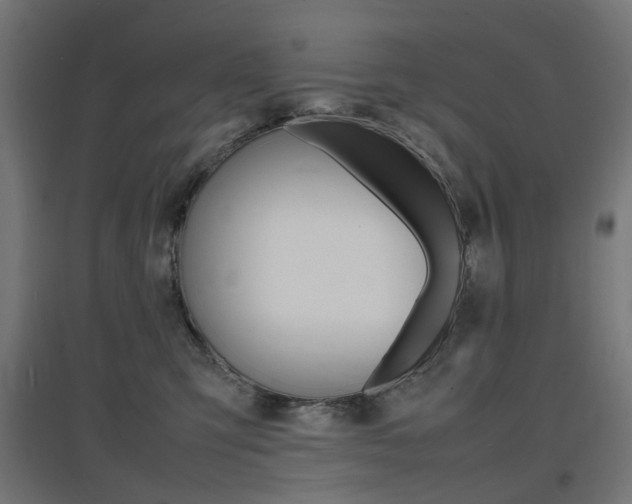 X0000097620423200802290824