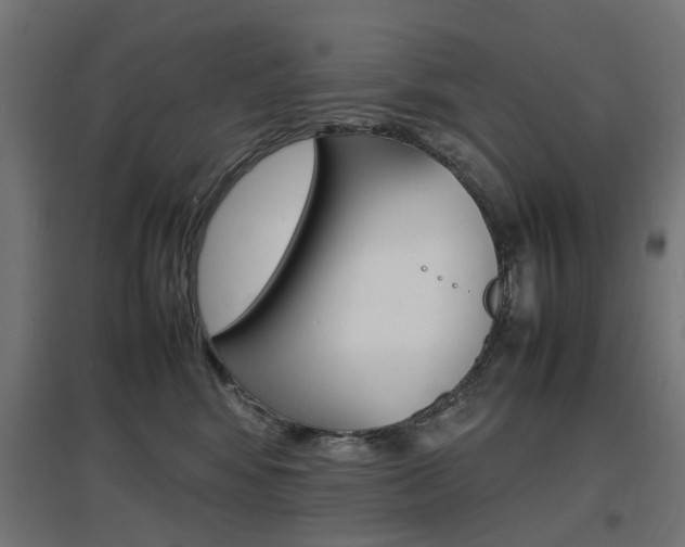 X0000097620424200802290824
