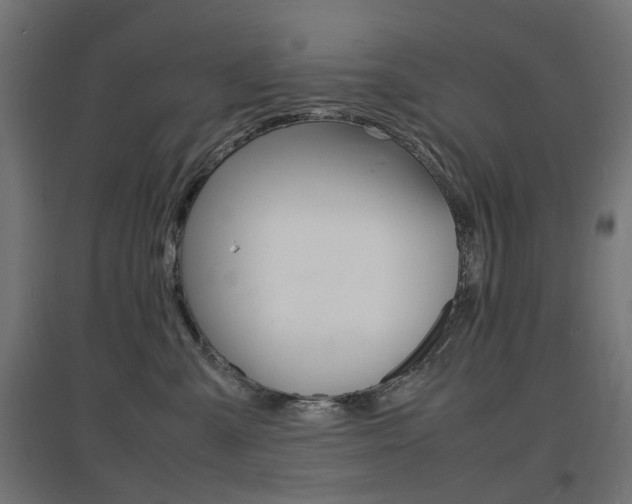 X0000097620427200802290824