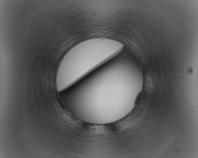 X0000097620428200802290824
