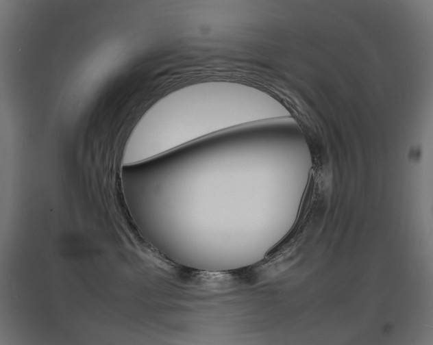X0000097620429200802290824