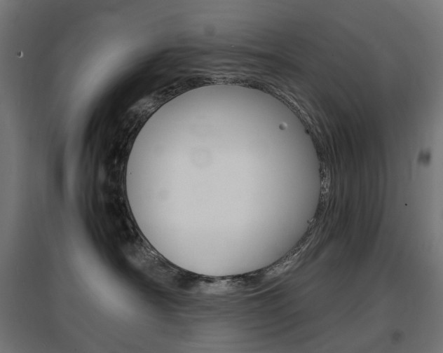 X0000097620430200802290824