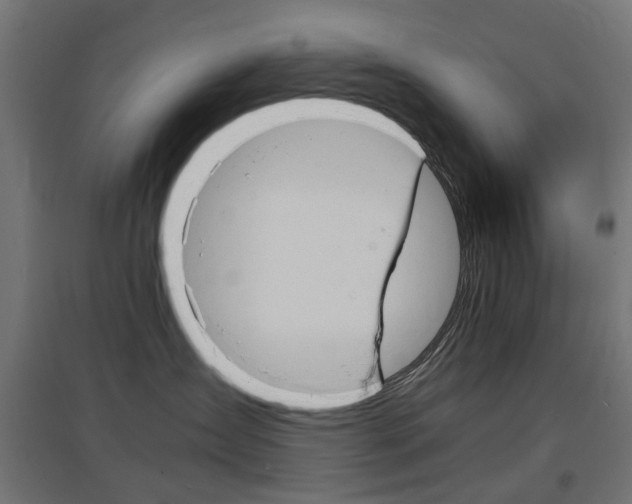 X0000097620431200802290824