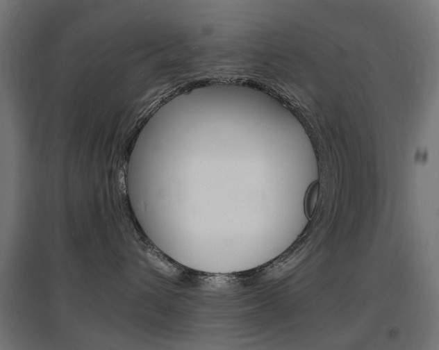 X0000097620432200802290824