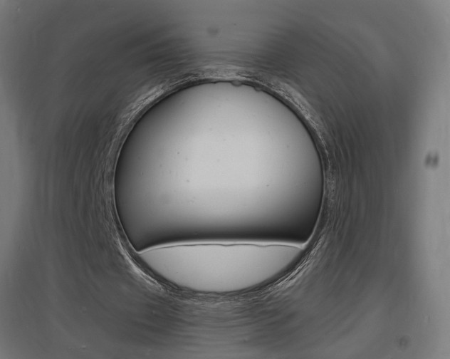 X0000097620433200802290823