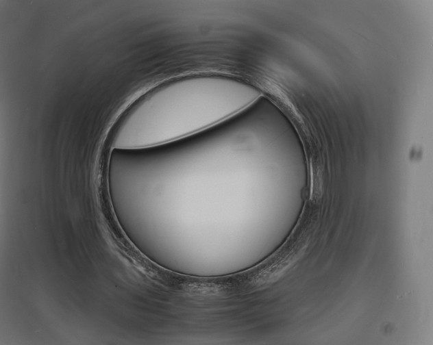 X0000097620435200802290824