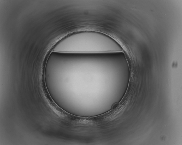 X0000097620437200802290824