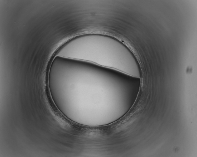X0000097620438200802290824
