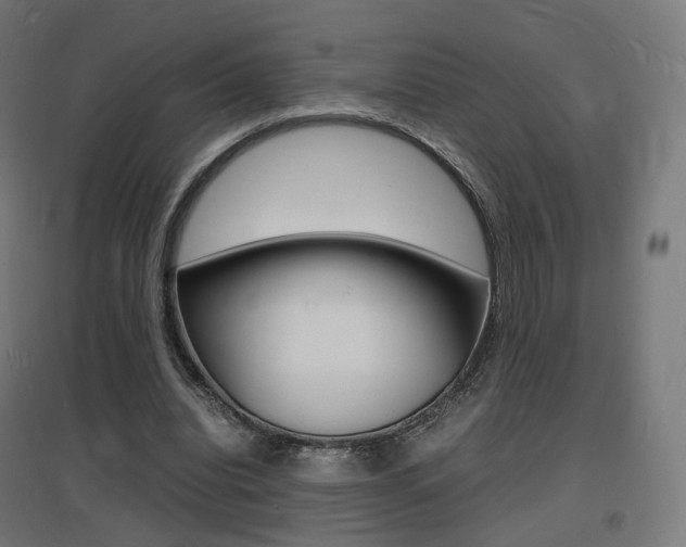 X0000097620440200802290824