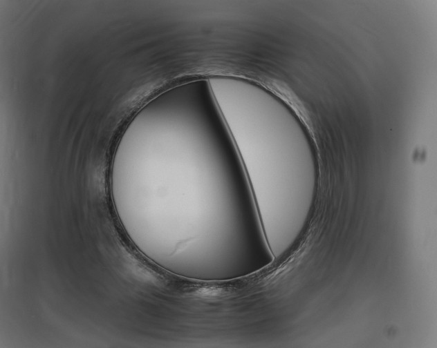 X0000097620441200802290824
