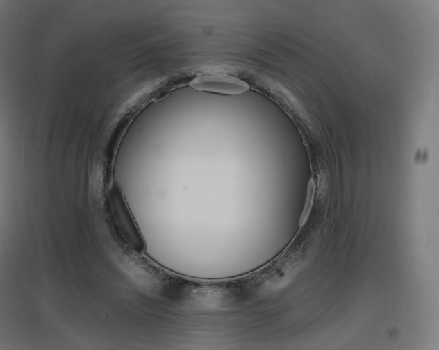 X0000097620444200802290824