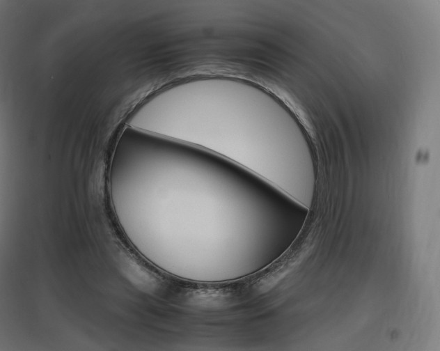 X0000097620445200802290824