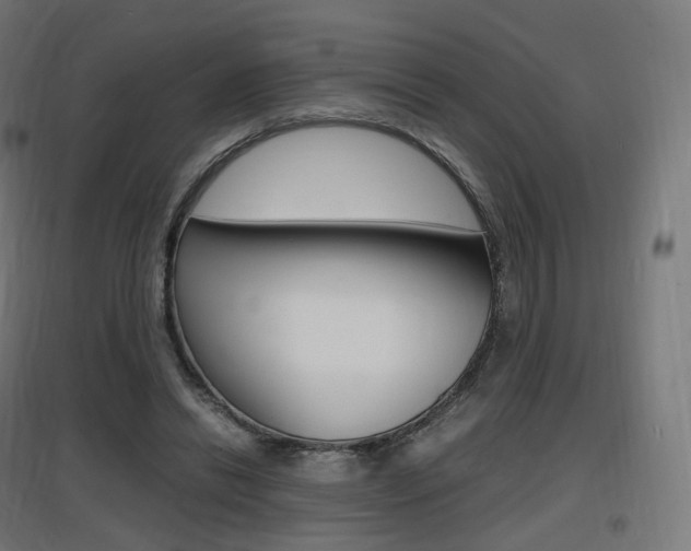 X0000097620446200802290824