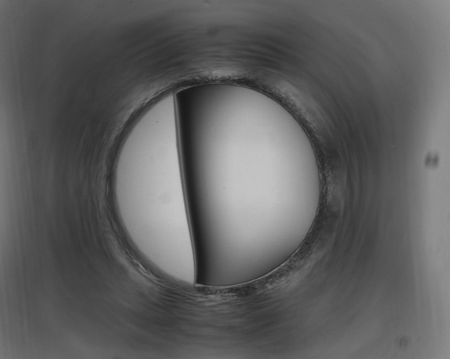X0000097620447200802290824
