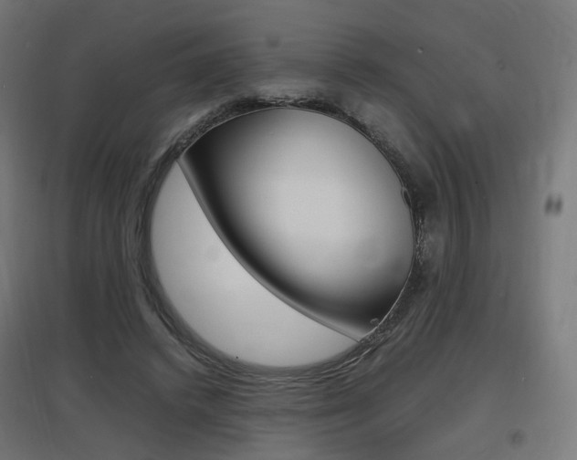 X0000097620448200802290824