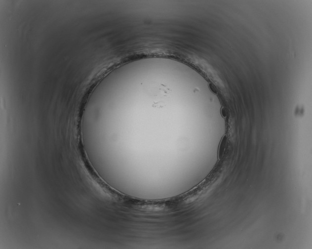 X0000097620449200802290824
