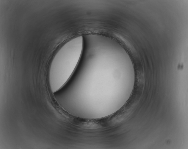 X0000097620451200802290824