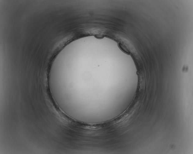 X0000097620453200802290824