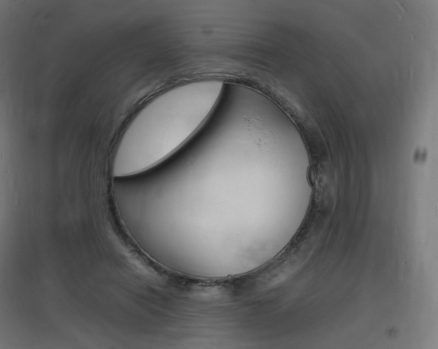 X0000097620454200802290824