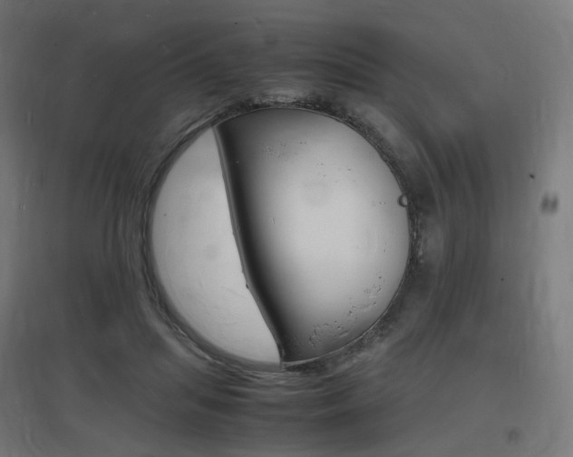 X0000097620455200802290824