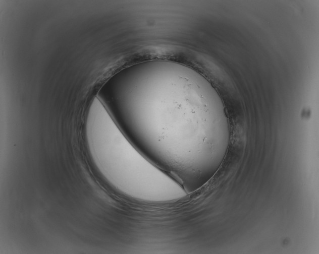 X0000097620456200802290824