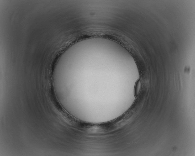 X0000097620460200802290824