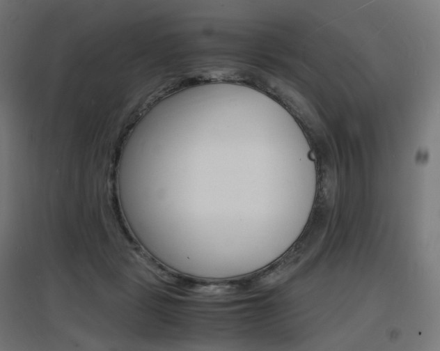 X0000097620461200802290824