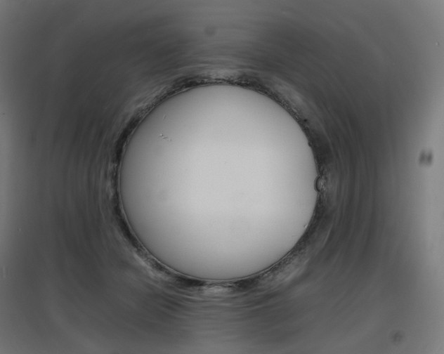 X0000097620462200802290824