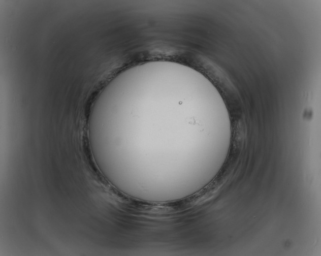 X0000097620463200802290824