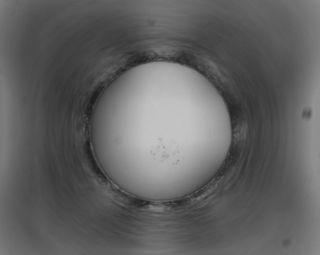 X0000097620464200802290824