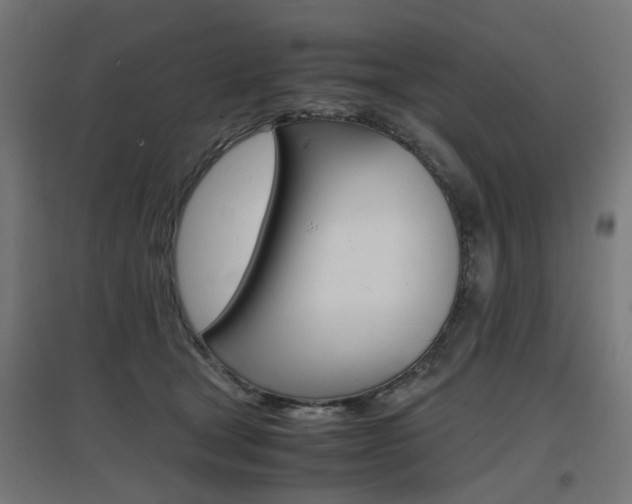 X0000097620465200802290824