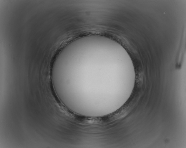 X0000097620466200802290824