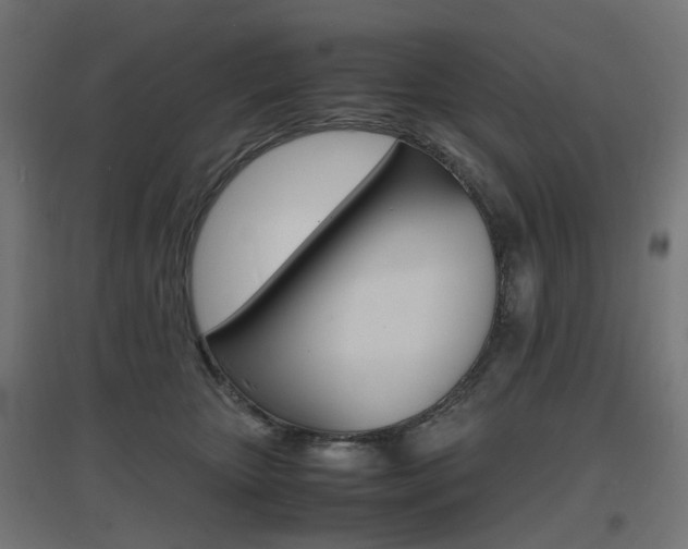 X0000097620467200802290824