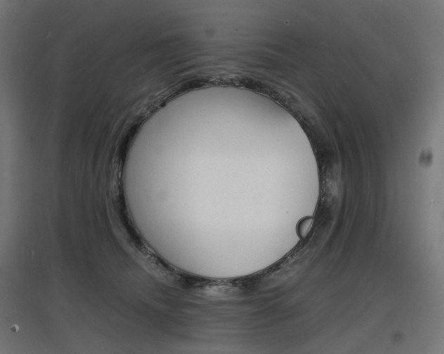 X0000097620468200802290824