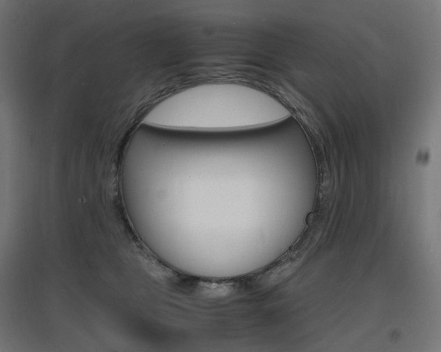 X0000097620469200802290824