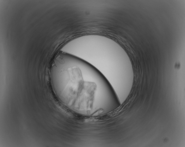 X0000097620470200802290824