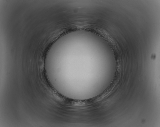 X0000097620471200802290824