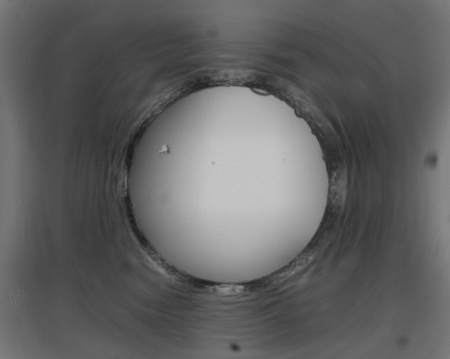 X0000097620474200802290824