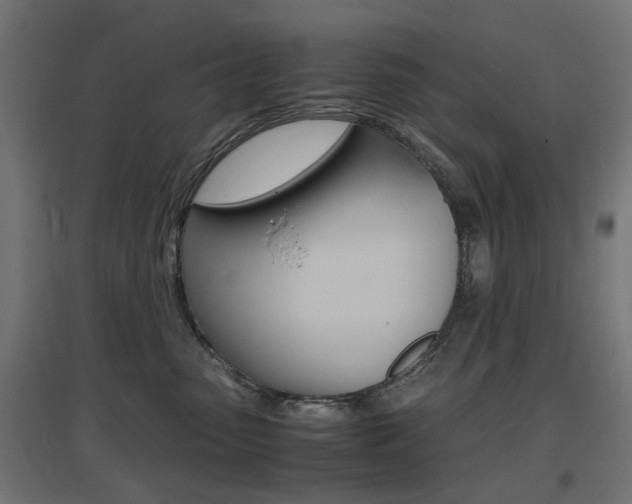 X0000097620475200802290824