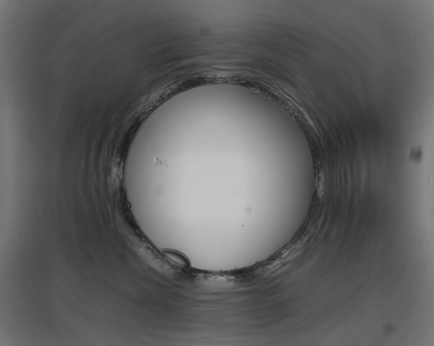 X0000097620476200802290824