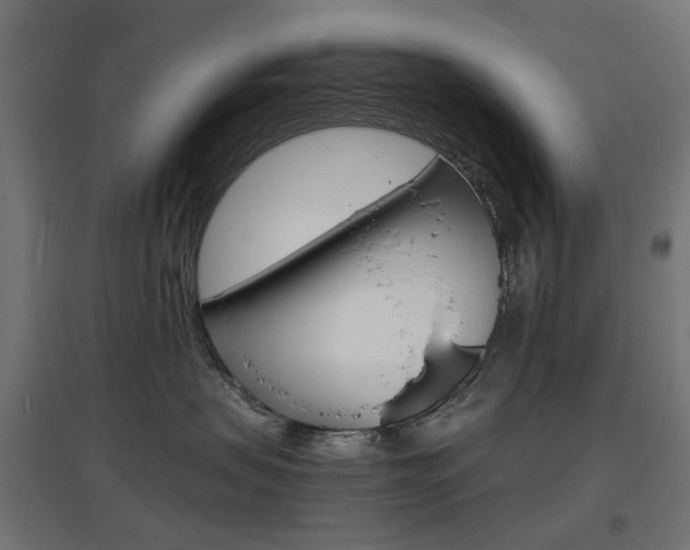 X0000097620479200802290824