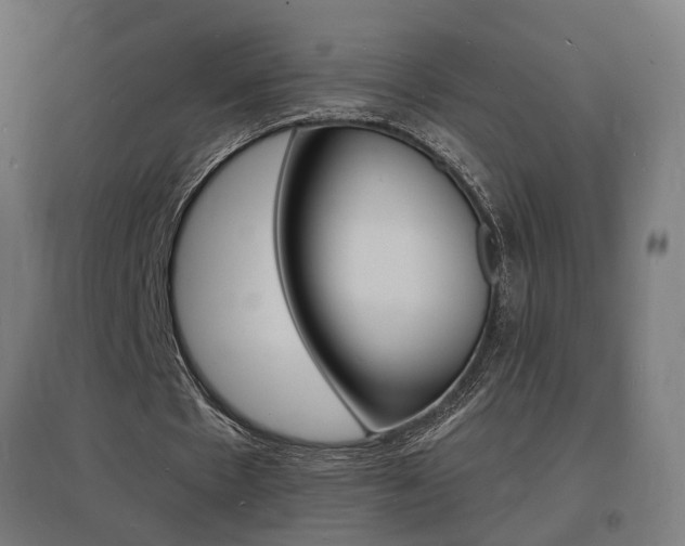 X0000097620481200802290823