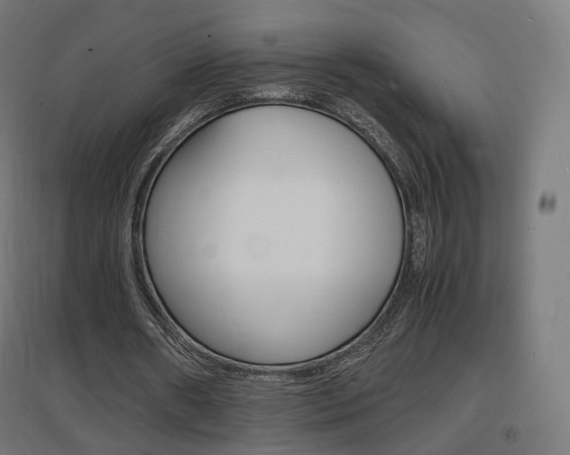 X0000097620482200802290823